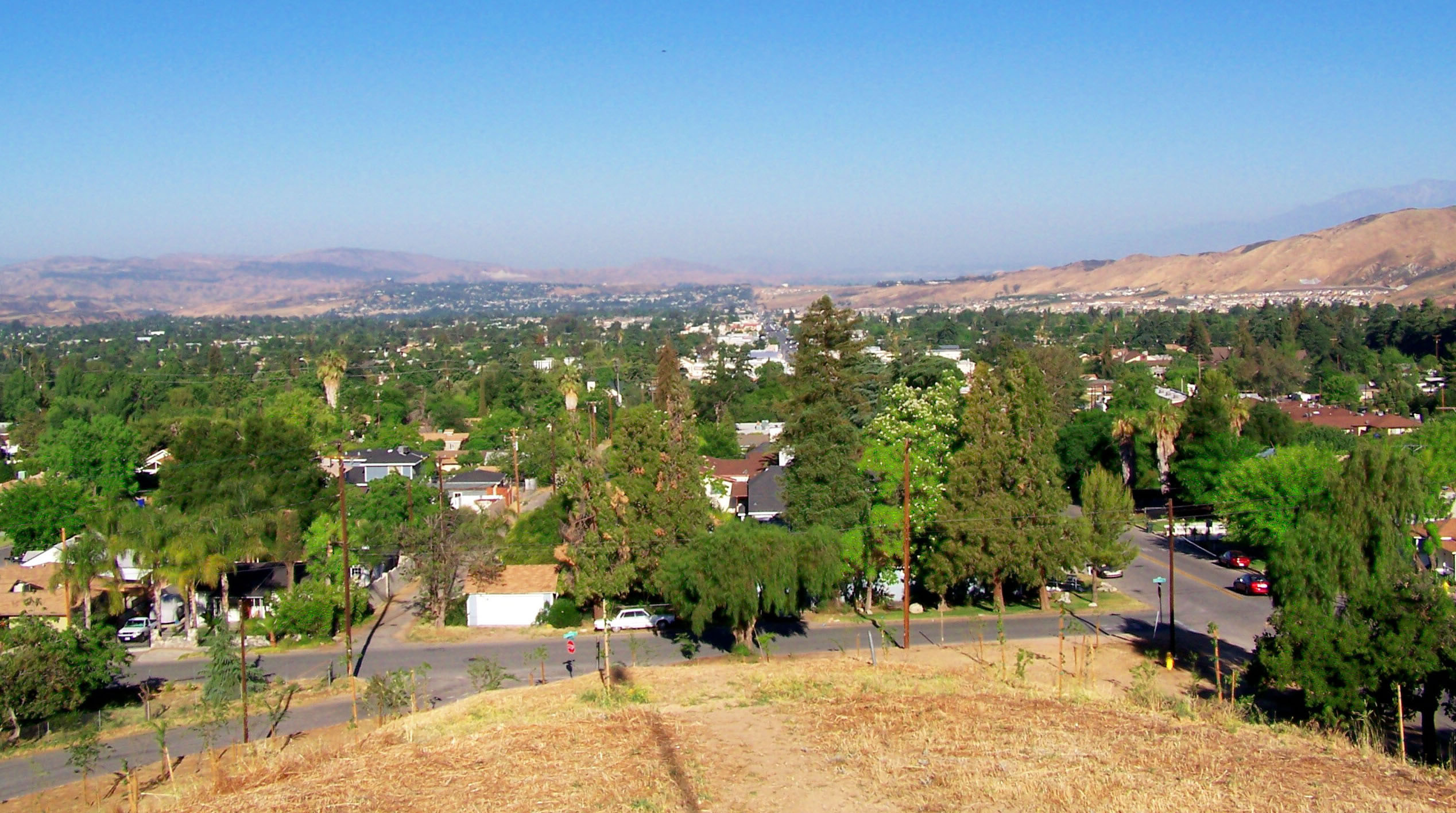 Home Page Picture